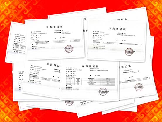 image014.jpg image014.jpg